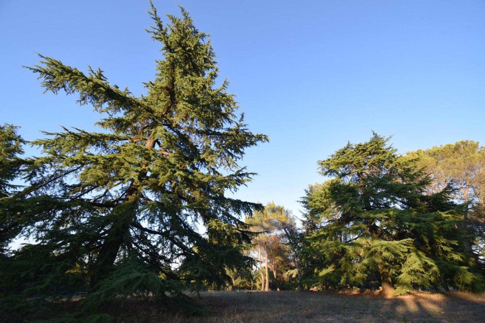 La Casona Imperial 2 Βίλα Galapagar Εξωτερικό φωτογραφία